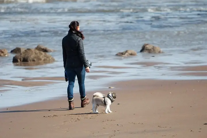 Owner walking dog on beach