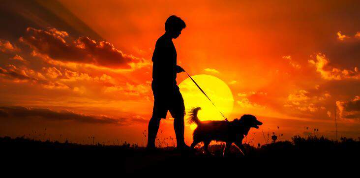 walking-dog-in-sunset