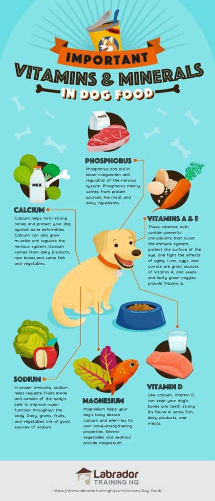Vitamins and minerals for your doggy