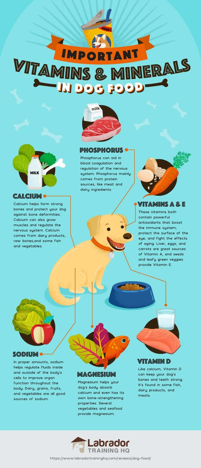 Vitamins and minerals for your doggy