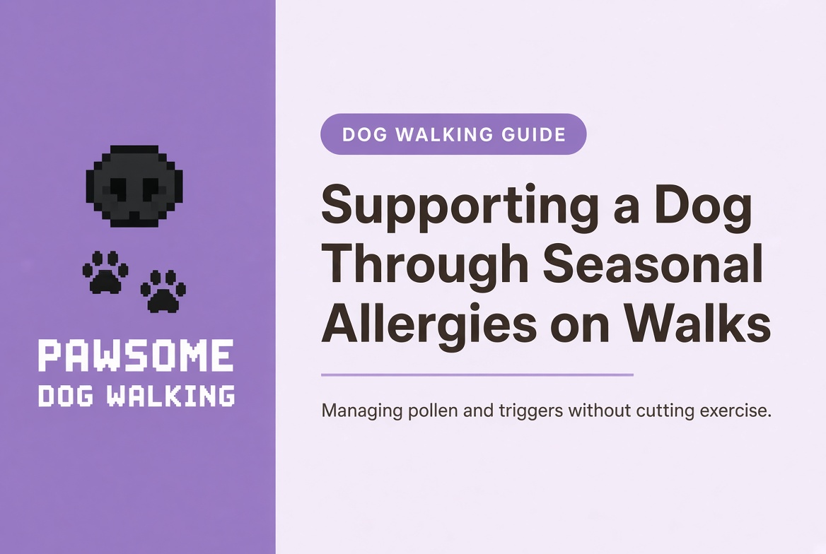 Supporting a Dog Through Seasonal Allergies on Walks
