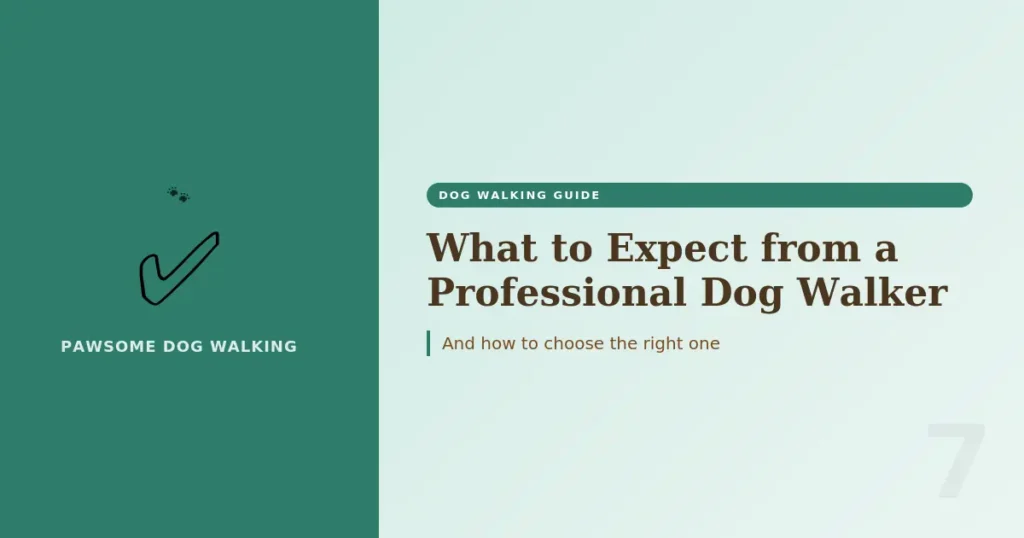 choosing-professional-dog-walker-what-to-expect