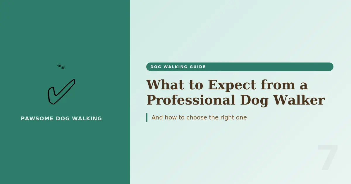 choosing-professional-dog-walker-what-to-expect