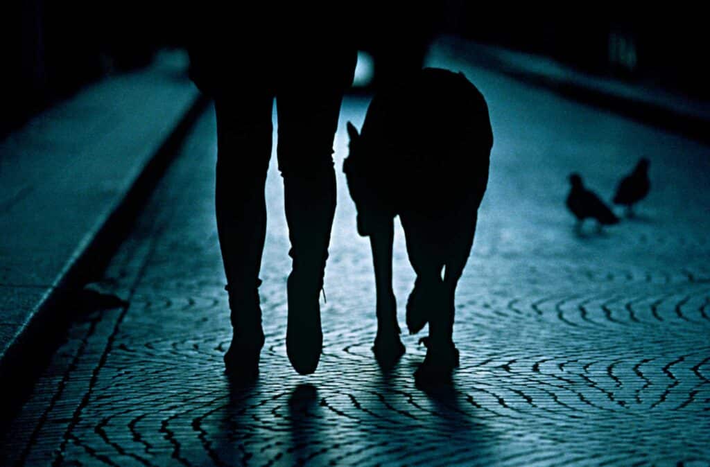 A person walking their dog at night.