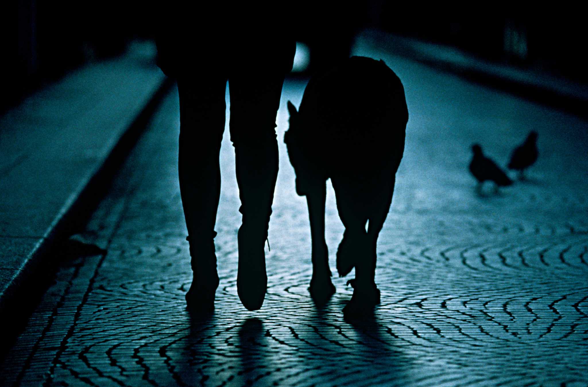 A person walking their dog at night.