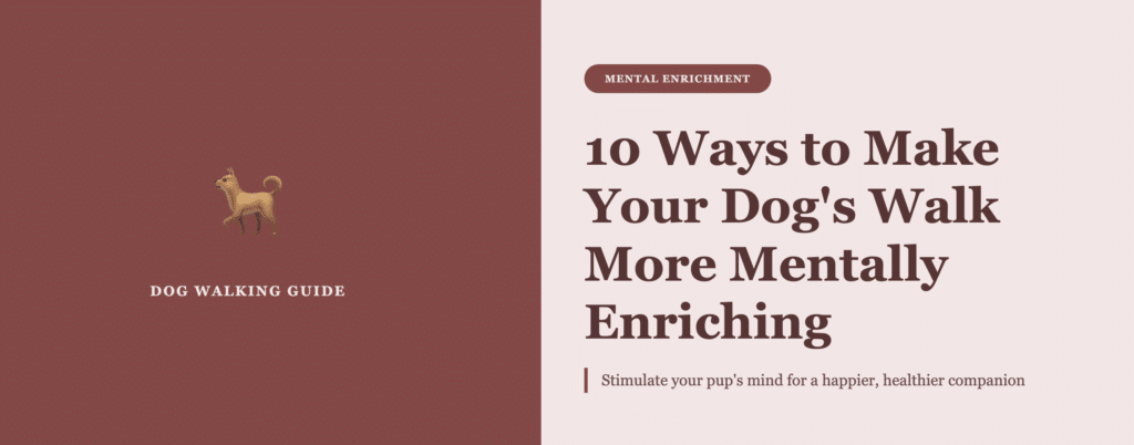 how to make your dog walk mentally stimulating
