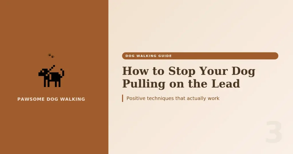 how-to-stop-dog-pulling-on-lead