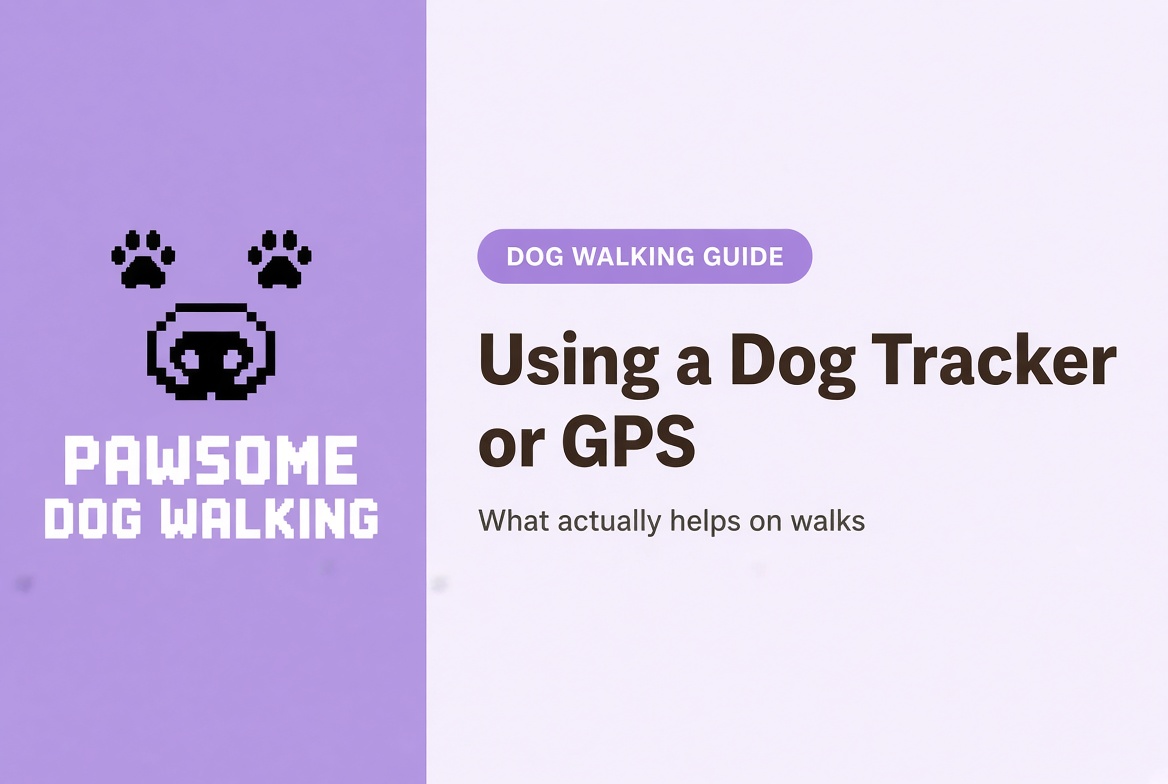 using a dog tracker
